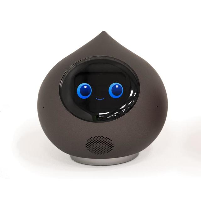 【お取り寄せ】会話AIロボットRomi（ロミィ）Lacatanモデル ムーングレー
