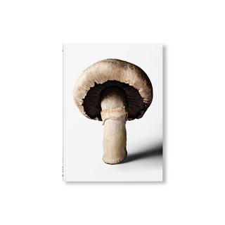 THE GOURMAND'S MUSHROOM. 