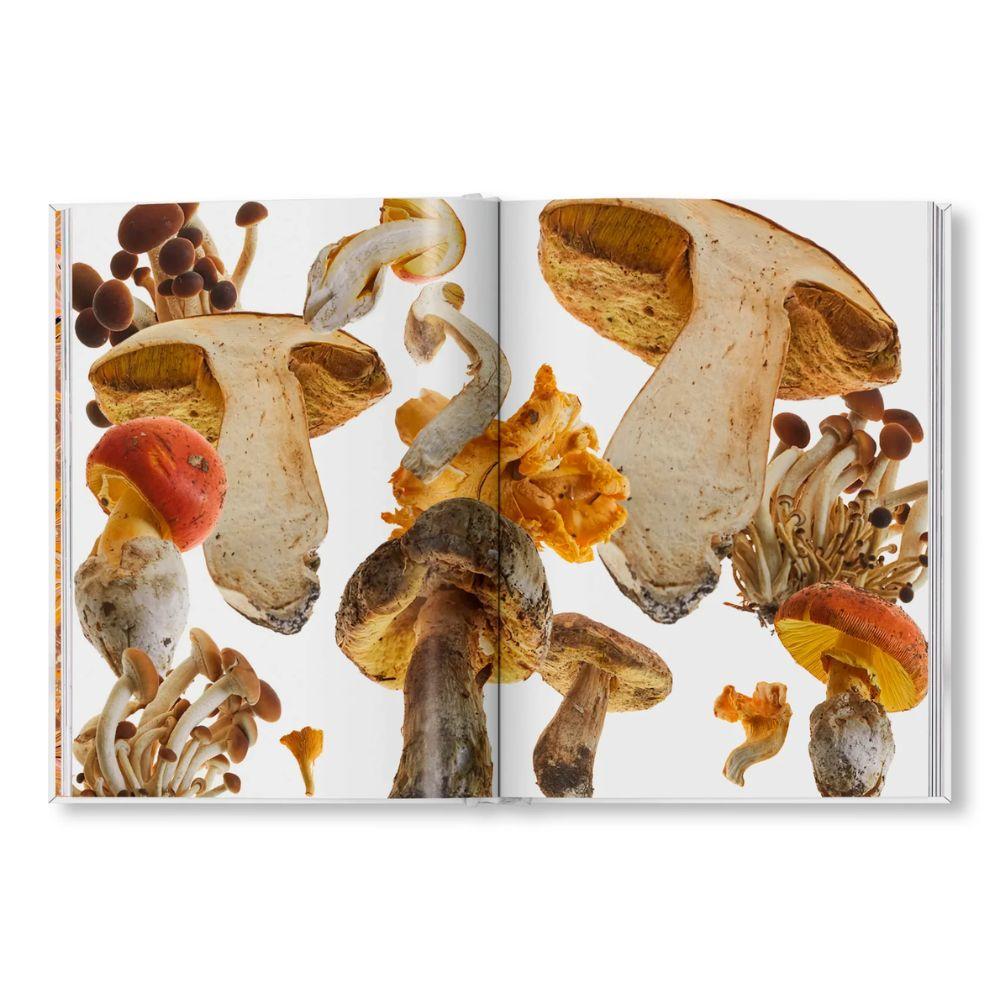 THE GOURMAND'S MUSHROOM. 