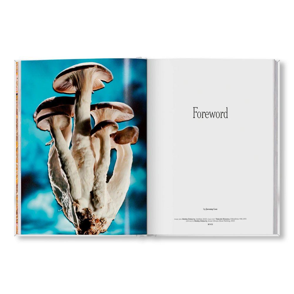THE GOURMAND'S MUSHROOM. 