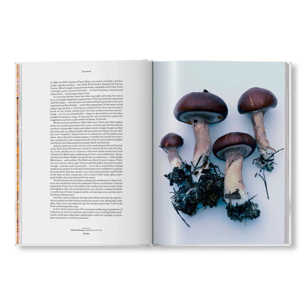 THE GOURMAND'S MUSHROOM. 