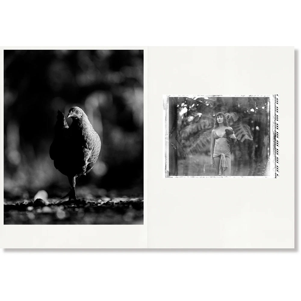 【3rd Edition】BIKE PATH Arto Saari（アルト・サーリ）写真集