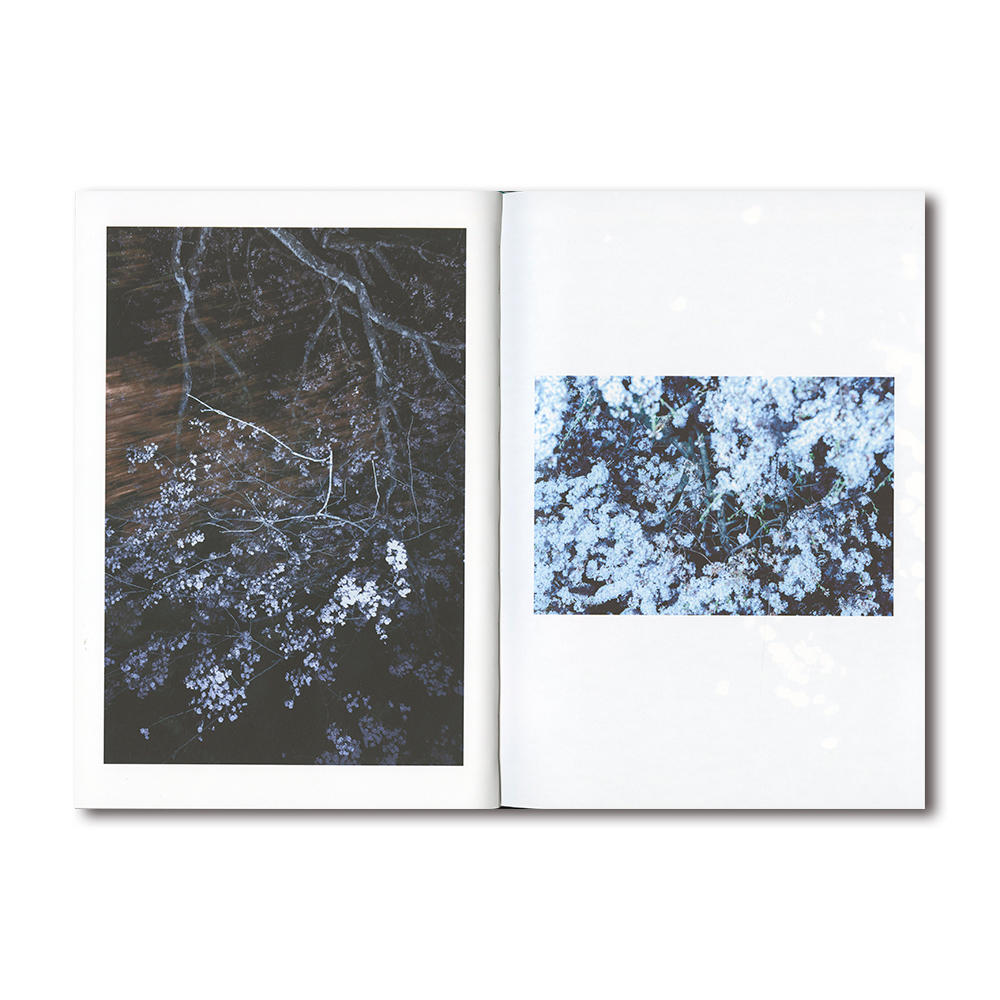 岩根愛『A NEW RIVER FLOWS』写真集