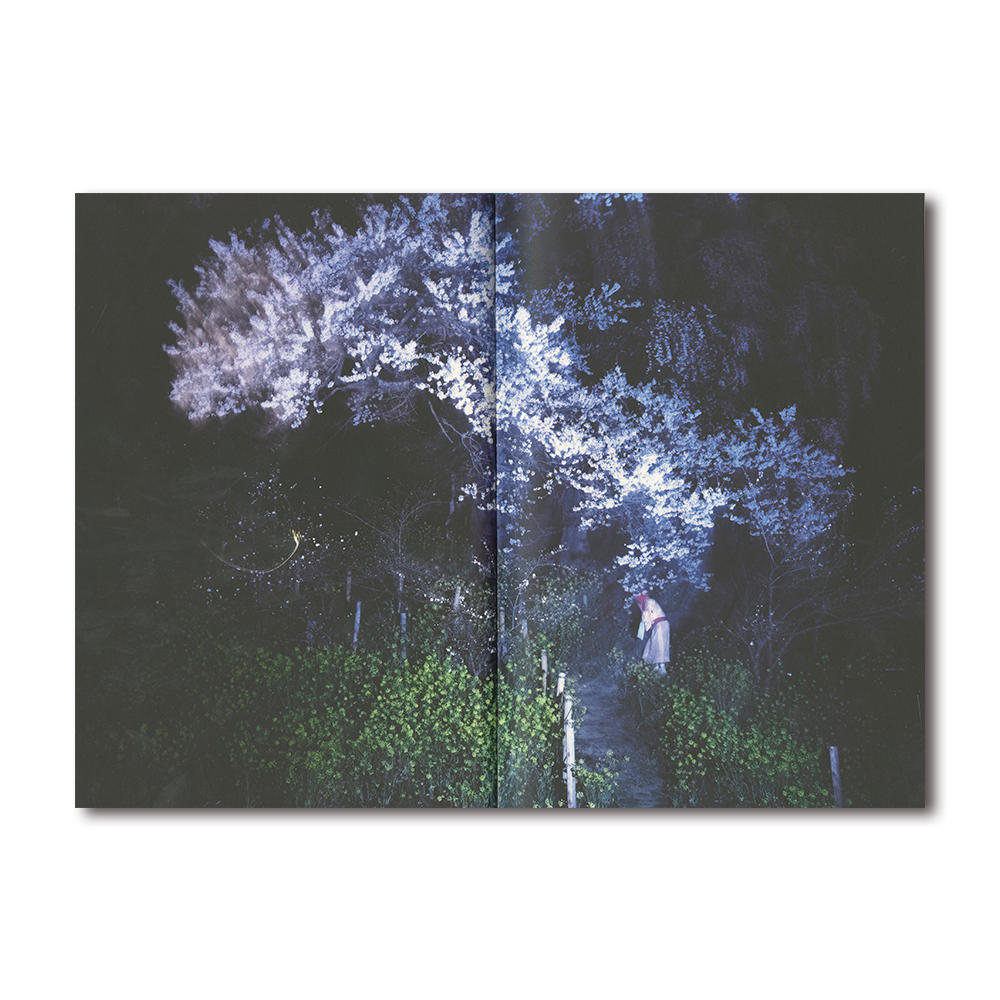 岩根愛『A NEW RIVER FLOWS』写真集