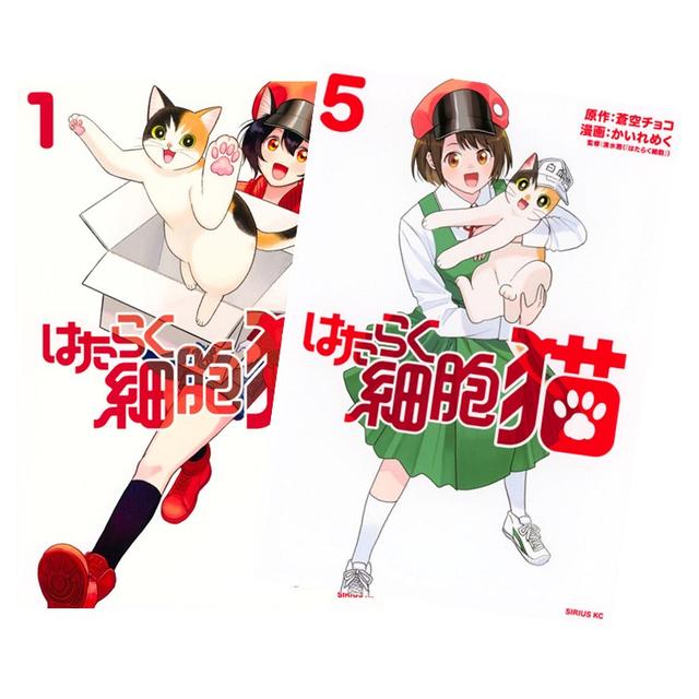 はたらく細胞　猫 全巻(1-5)セット 全巻新品