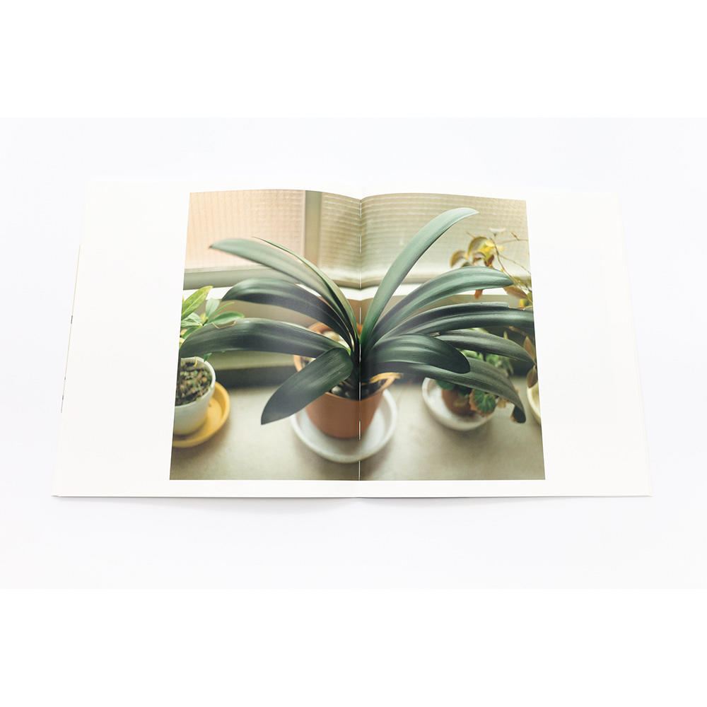 【予約】復刊 生きている　佐内正史　写真集　※10月上旬入荷予定