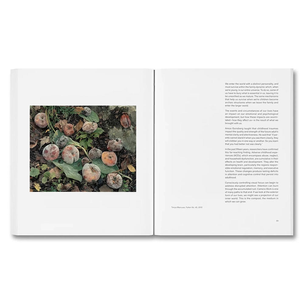 THE MENTAL IMAGE by Stephen Shore (スティーブン・ショア) 写真集