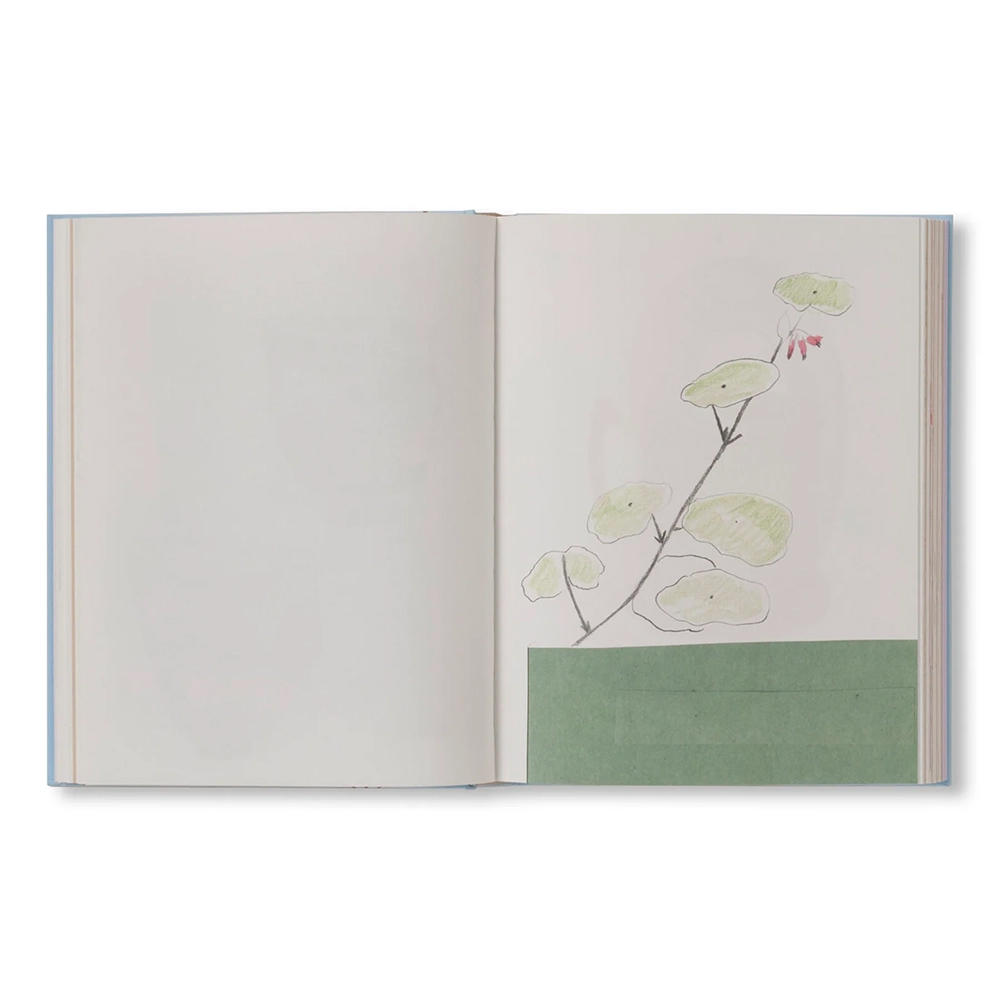 CARNETS by Johanna Tagada(ジョアンナ・タガダ) 作品集