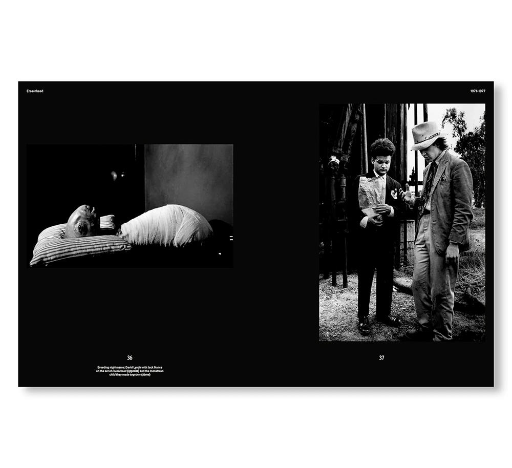 DAVID LYNCH: HIS WORK, HIS WORLD by David Lynch（デヴィッド