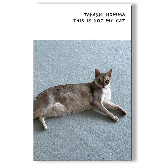 This Is Not My Cat by Takashi Homma（ホンマタカシ） 写真集 Takshi