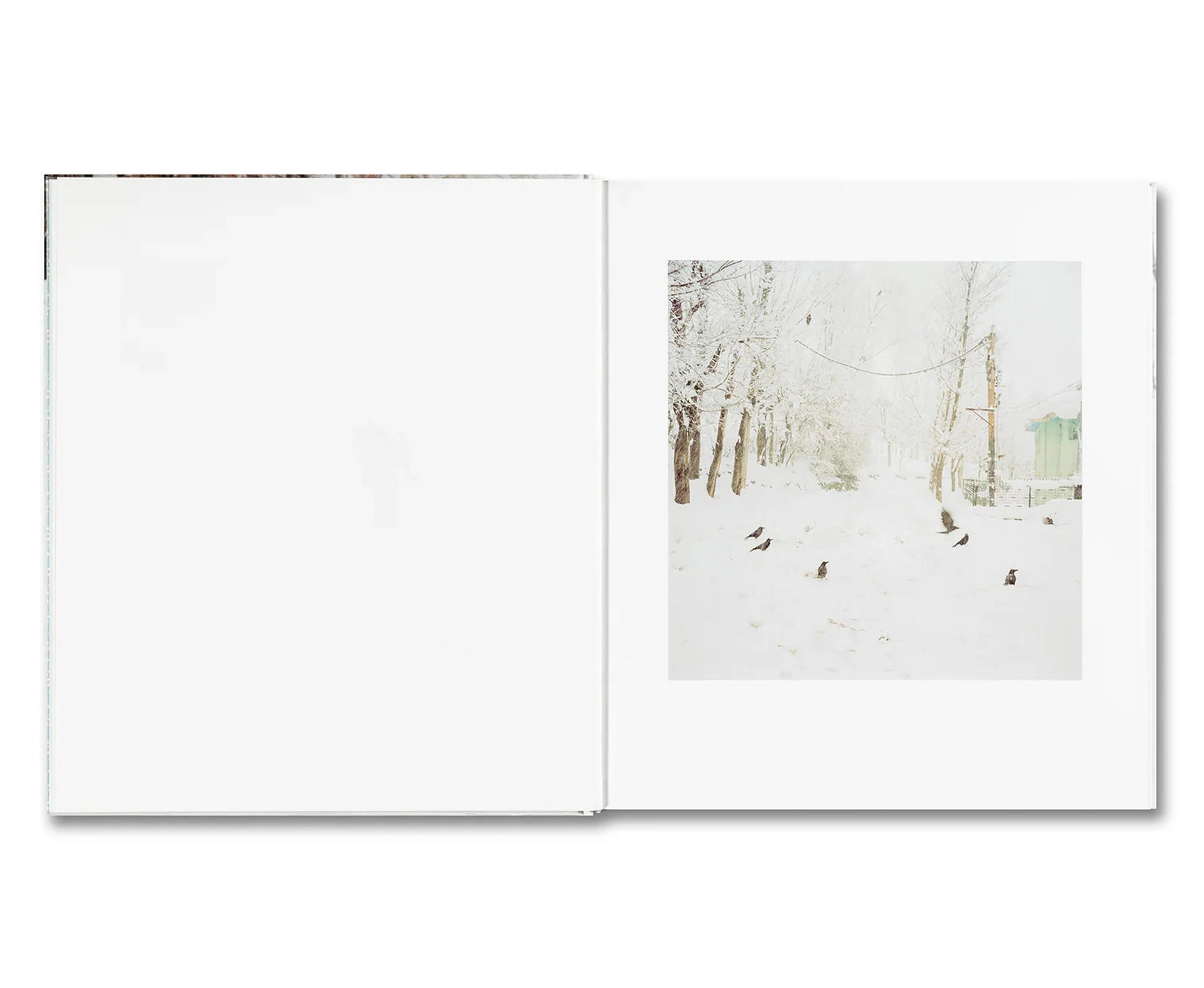 SNOW by Sohrab Hura（ソラブ・フラ） 写真集