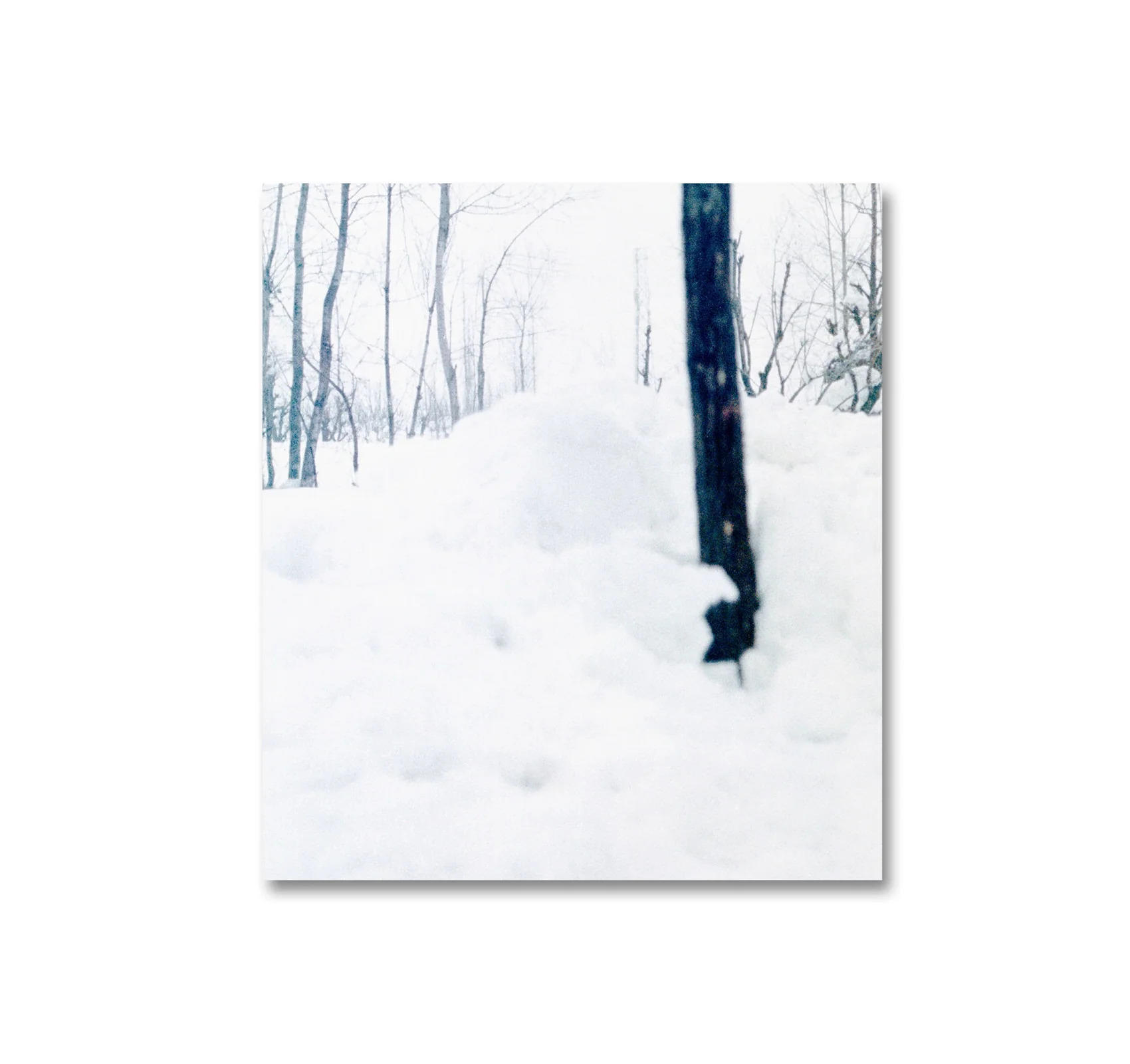 SNOW by Sohrab Hura（ソラブ・フラ） 写真集