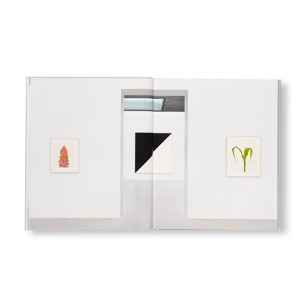 ELLSWORTH KELLY (2023) by Ellsworth Kelly（エルズワース・ケリー）　作品集