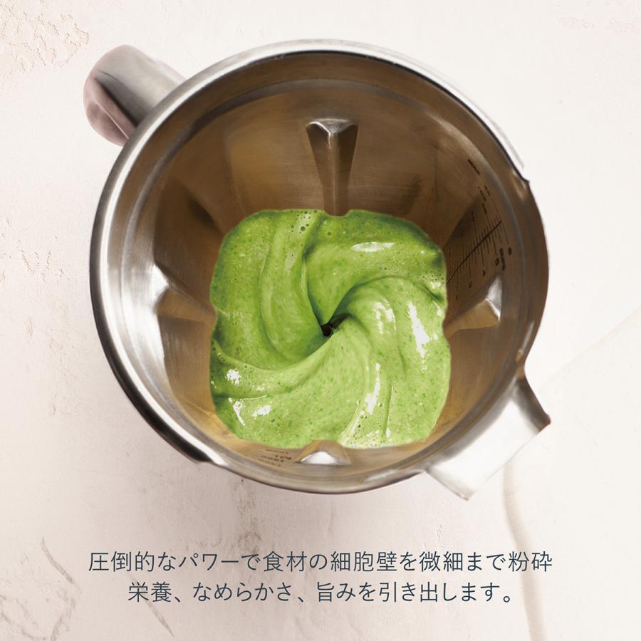 Vitamix(バイタミックス） E510ステンレスコンテナ ブラック