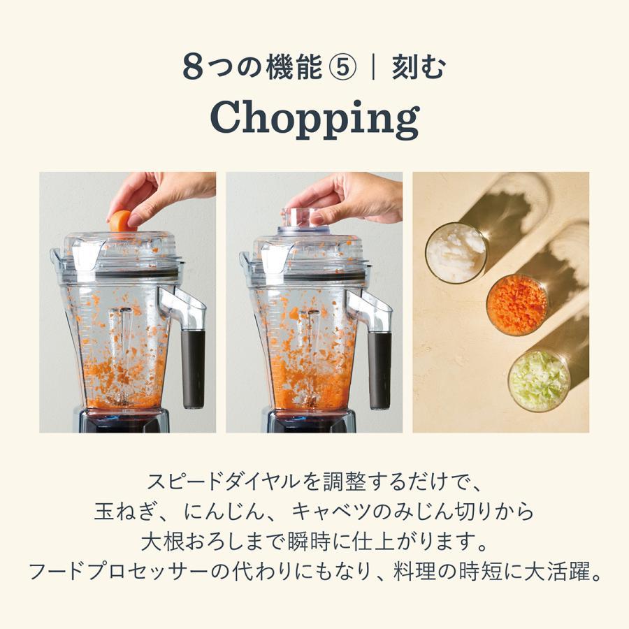 Vitamix(バイタミックス） E510 ブラック