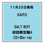 【予約・ポイント５倍】 11/25発売 KAITO SALT B...　人気商品