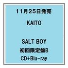 【予約・ポイント５倍】 11/25発売 KAITO SALT B...　人気商品