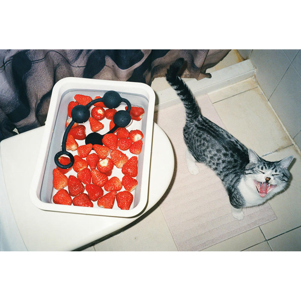 【限定800部】223 BY 223 Vol.2 by Lin Zhipeng（リン・チーペン）aka No.223 写真集