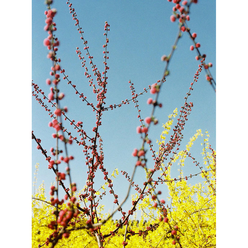 【限定800部】223 BY 223 Vol.2 by Lin Zhipeng（リン・チーペン）aka No.223 写真集