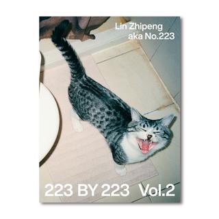 【限定800部】223 BY 223 Vol.2 by Lin Zhipeng（リン・チーペン）aka No.223 写真集