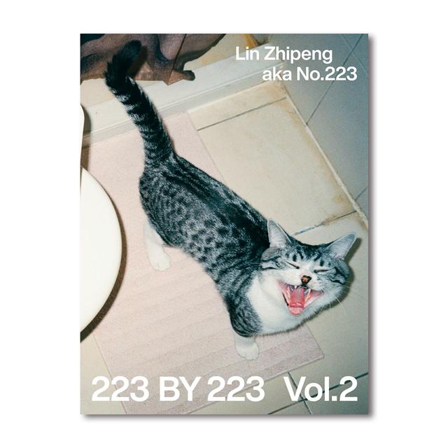 【限定800部】223 BY 223 Vol.2 by Lin Zhipeng（リン・チーペン）aka No.223 写真集