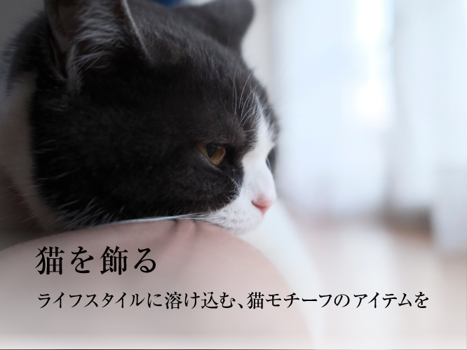 特集一覧 | 蔦屋書店オンラインストア