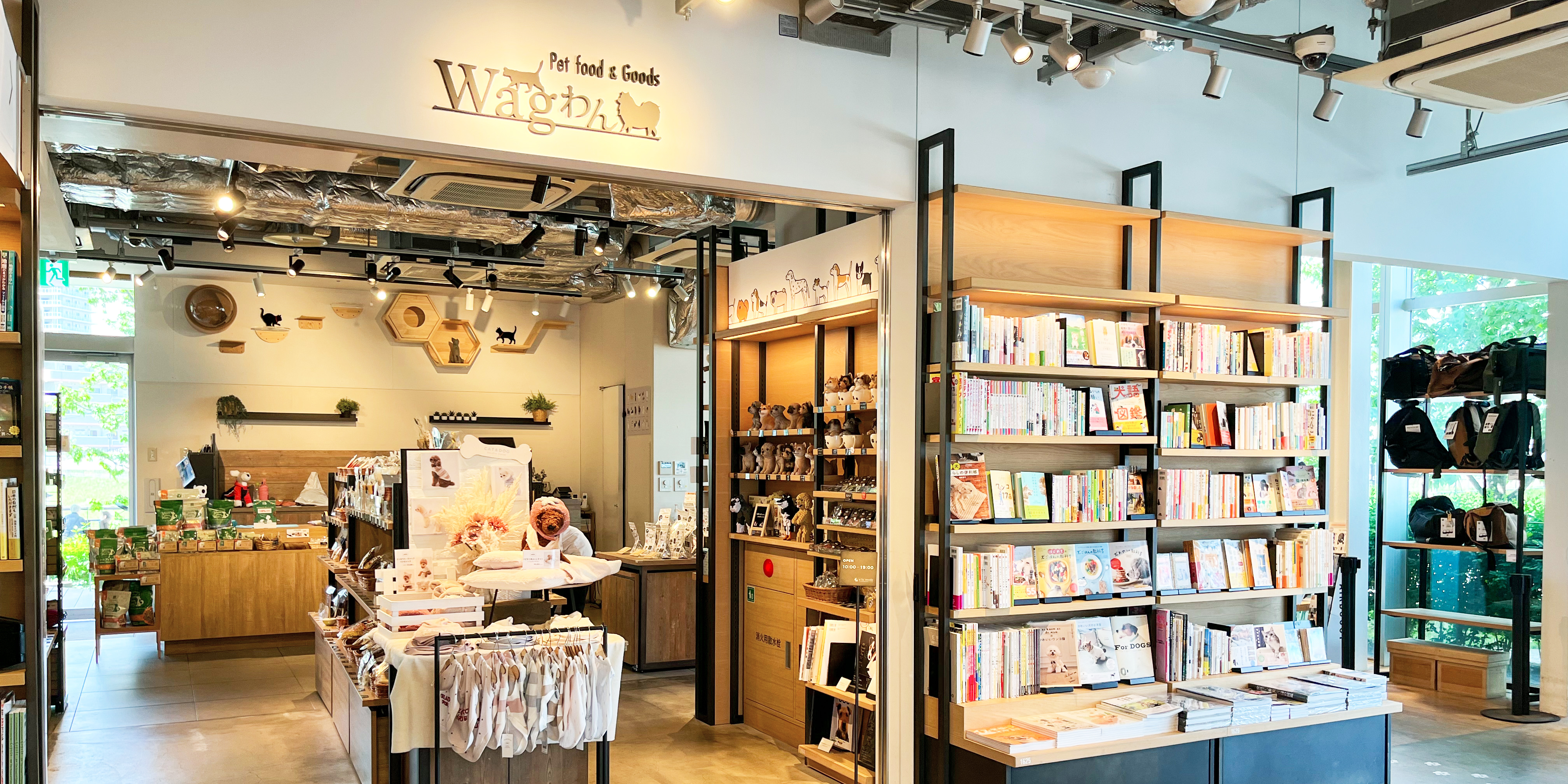 わんわんページ 1bag =5PCS New 8-98021300-1 Wrap angle buckle For Isuzu 700P